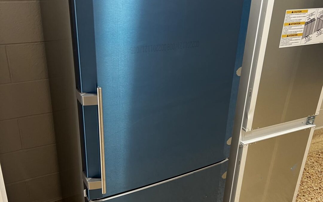 51. 30 inch freestanding fridge and freezer